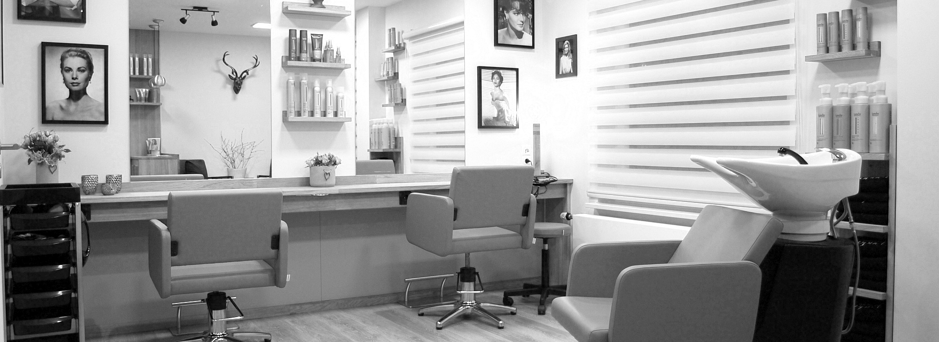 Banner Friseur Stilecht